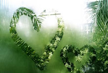 如何快速获取NBA即时比分？不同平台的实时数据有什么特点？